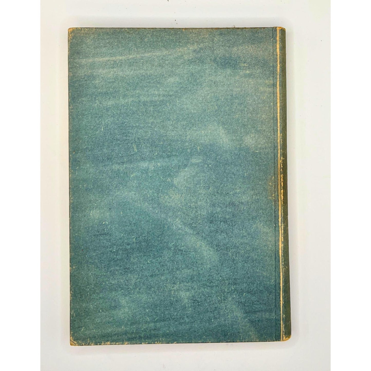 Mario und der Zauberer by Thomas Mann - 1930 First Edition w/ Slipcase
